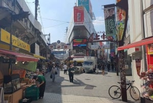 2-dniowa wycieczka zorganizowana z odbiorem z lotniska Haneda