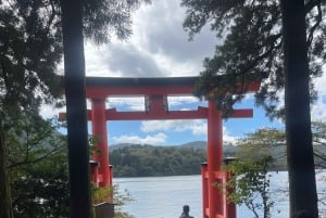 東京発：富士山プライベート日帰りツアー（英語ドライバー付き）