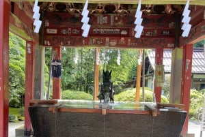 東京発：富士山プライベート日帰りツアー（英語ドライバー付き）