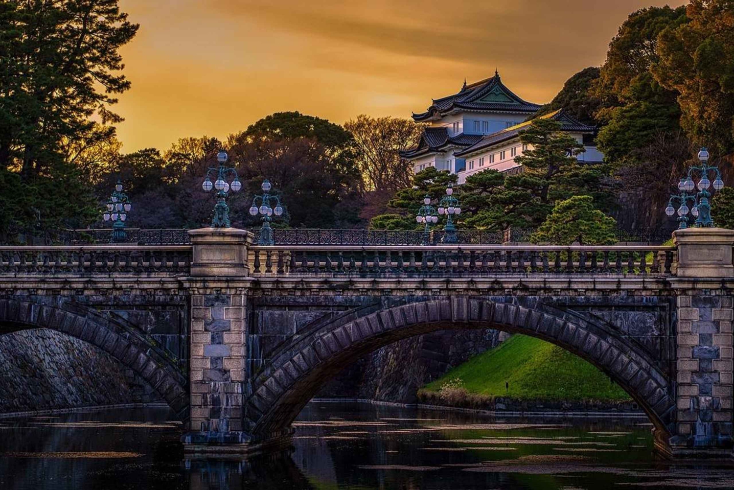 Tour privato di 2 giorni a Tokyo e Nikko in veicolo di lusso, ritorno in hotel