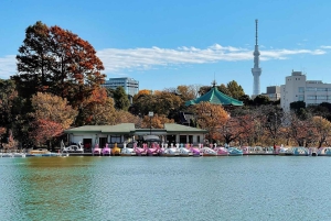 2-tägige private Tour nach Tokio & Nikko im Luxusfahrzeug, Rückfahrt zum Hotel