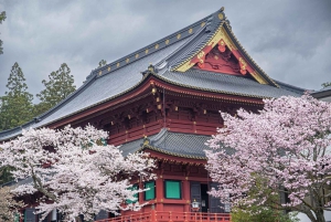 2-tägige private Tour nach Tokio & Nikko im Luxusfahrzeug, Rückfahrt zum Hotel