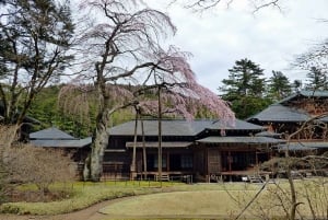 2-tägige private Tour nach Tokio & Nikko im Luxusfahrzeug, Rückfahrt zum Hotel