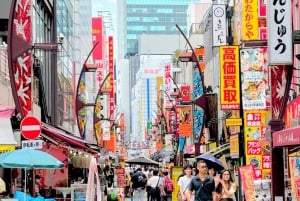 Fantastisk privat tur: Tsukiji, Asakusa, Shinjuku, Shibuya