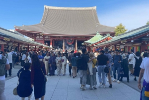 Fantastisk privat tur: Tsukiji, Asakusa, Shinjuku, Shibuya