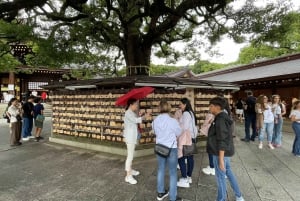 Fantastisk privat tur: Tsukiji, Asakusa, Shinjuku, Shibuya