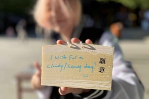 Fantastisk privat tur: Tsukiji, Asakusa, Shinjuku, Shibuya