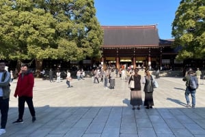 Fantastisk privat tur: Tsukiji, Asakusa, Shinjuku, Shibuya