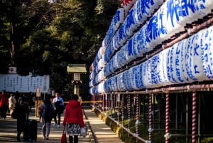 Fantastisk privat tur: Tsukiji, Asakusa, Shinjuku, Shibuya