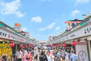 Fantastisk privat tur: Tsukiji, Asakusa, Shinjuku, Shibuya