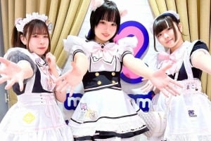 Akihabara: Anime & Gaming Adventure Tour