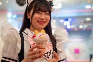 Akihabara: Anime & Gaming Adventure Tour