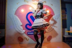 Akihabara: Anime & Gaming Adventure Tour