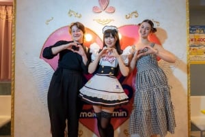 Akihabara: Anime & Gaming Adventure Tour