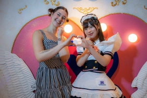 Akihabara: Anime & Gaming Adventure Tour