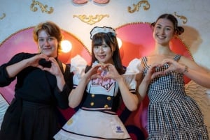 Akihabara: Anime & Gaming Adventure Tour