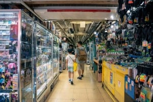 Akihabara: Anime & Gaming Adventure Tour