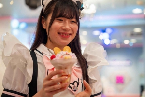 Akihabara: Anime & Gaming Adventure Tour