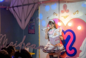 Akihabara: Anime & Gaming Adventure Tour