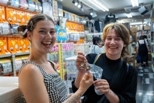 Akihabara: Anime & Gaming Adventure Tour