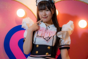 Akihabara: Anime & Gaming Adventure Tour