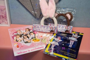 Akihabara: Anime & Gaming Adventure Tour