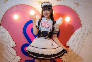 Akihabara: Anime- ja peliseikkailukierros