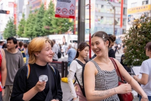 Akihabara: Anime- ja peliseikkailukierros