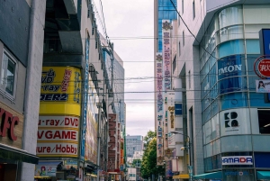 Akihabara: Anime- ja peliseikkailukierros