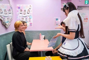 Akihabara: Anime- ja peliseikkailukierros