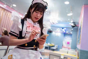 Akihabara: Anime- ja peliseikkailukierros