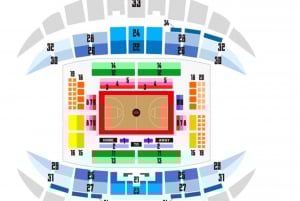 Tokyo: Alvark Tokyo Basketball Game Ticket