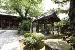 Kunsttur: Tokyos nasjonalmuseum og Ueno-Yanaka omvisning til fots