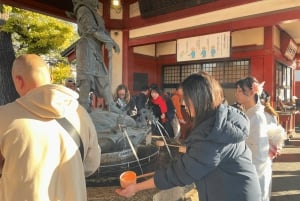Tokio: Rundgang durch den Asakusa-Tempel und -Schrein mit ortskundigem Guide