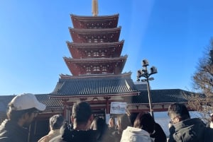 Tokio: Rundgang durch den Asakusa-Tempel und -Schrein mit ortskundigem Guide