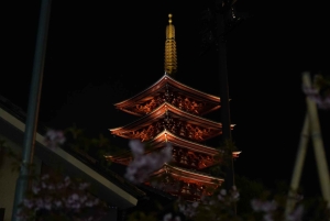 Asakusa: omvisning til fots på kvelden med engelsktalende guide