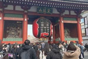 Asakusa e Skytree: tour guidato dei luoghi più famosi con esperienza HADO