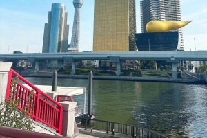Asakusa e Skytree: tour guidato dei luoghi più famosi con esperienza HADO