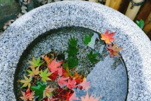 2-stündiger Rundgang durch Asakusa mit ortskundigem Guide