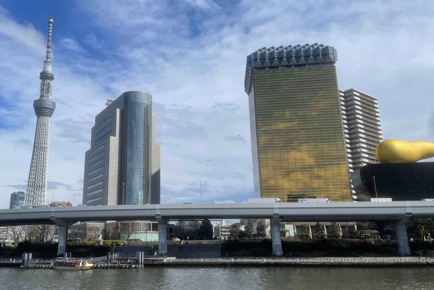 Awesome Private Tour: Tsukiji, Asakusa, Shinjuku, Shibuya