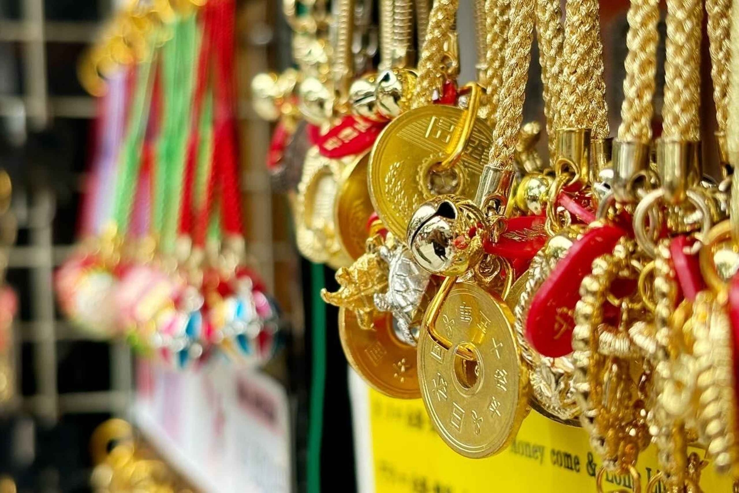 Awesome Private Tour: Tsukiji, Asakusa, Shinjuku, Shibuya