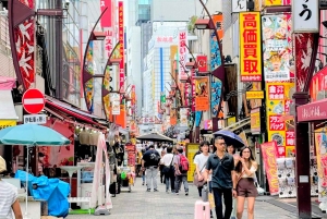 Awesome Private Tour: Tsukiji, Asakusa, Shinjuku, Shibuya