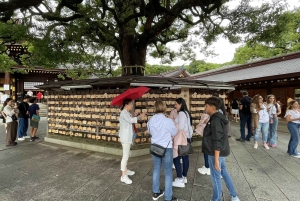 Awesome Private Tour: Tsukiji, Asakusa, Shinjuku, Shibuya