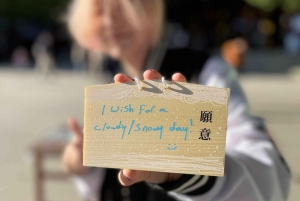 Awesome Private Tour: Tsukiji, Asakusa, Shinjuku, Shibuya