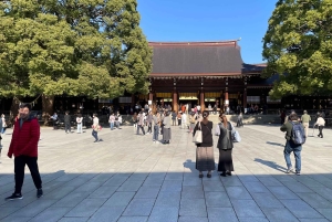 Awesome Private Tour: Tsukiji, Asakusa, Shinjuku, Shibuya