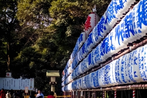 Awesome Private Tour: Tsukiji, Asakusa, Shinjuku, Shibuya