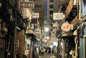 Awesome Private Tour: Tsukiji, Asakusa, Shinjuku, Shibuya