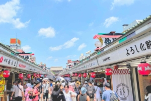 Awesome Private Tour: Tsukiji, Asakusa, Shinjuku, Shibuya