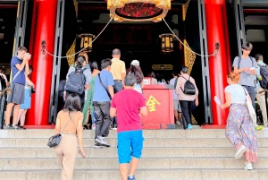 Awesome Private Tour: Tsukiji, Asakusa, Shinjuku, Shibuya