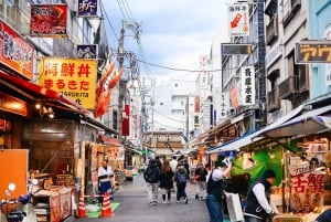 IL MEGLIO DI TOKYO - TOUR A PIEDI PARTE 2